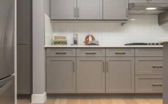 Modern Kitchen Cabinets